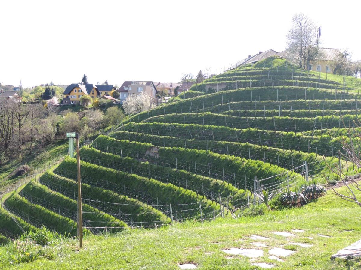 Bed and Breakfast Weingut Albert, Familie Cramer Кітцек-ім-Заузаль Екстер'єр фото